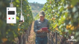 Cultivo a campo abierto uso de porómetro Meter Group