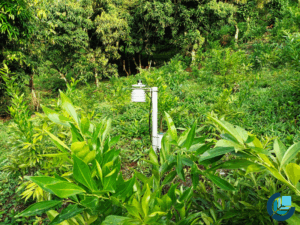 Montaje de monitoreo LoRa