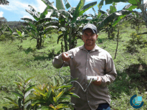 Medición en campo con medidor de conductancia estomatica de hoja Meter Group