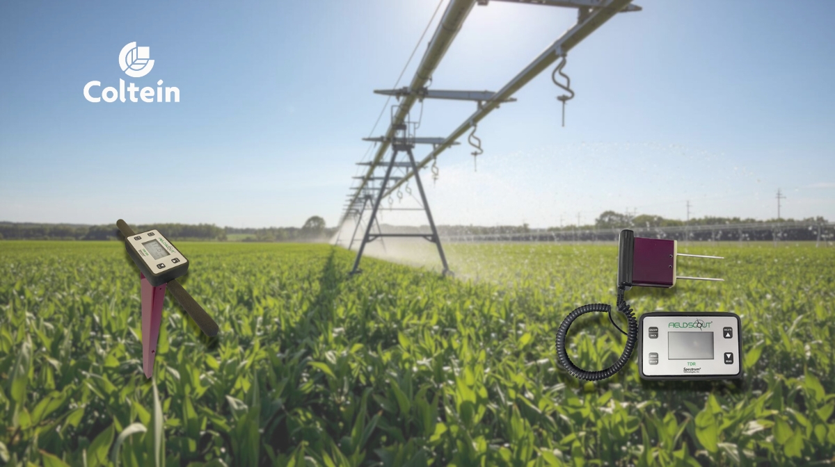 Cultivo a campo abierto con sistema de riego por aspersión