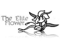 EliteFlower